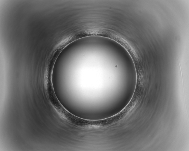 X0000087640586200705101049