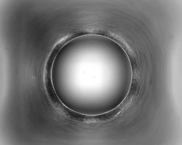 X0000087640587200705101049