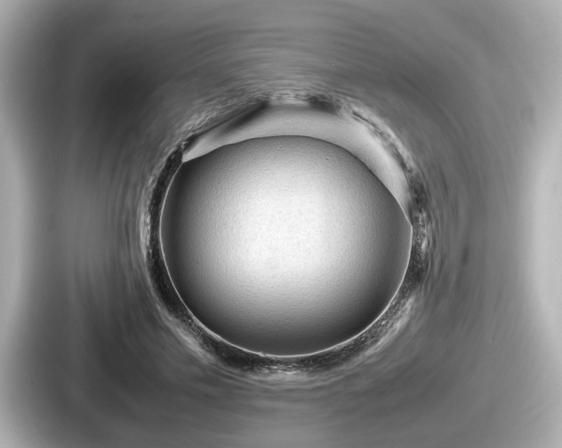 X0000087640589200705101049