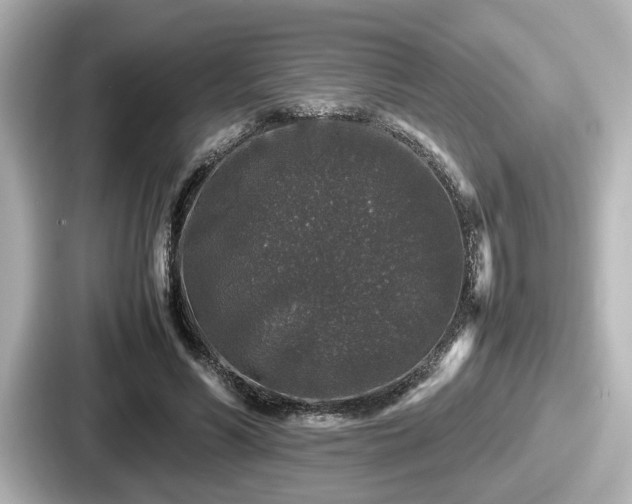 X0000087640590200705101049