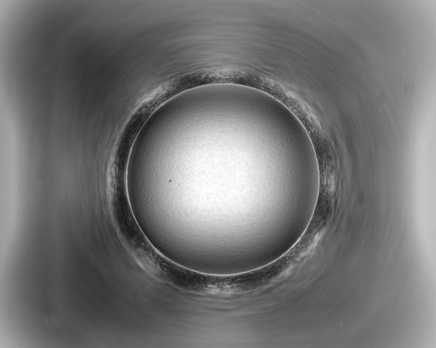 X0000087640591200705101049