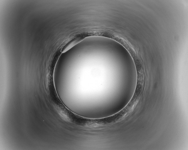 X0000087640597200705101049