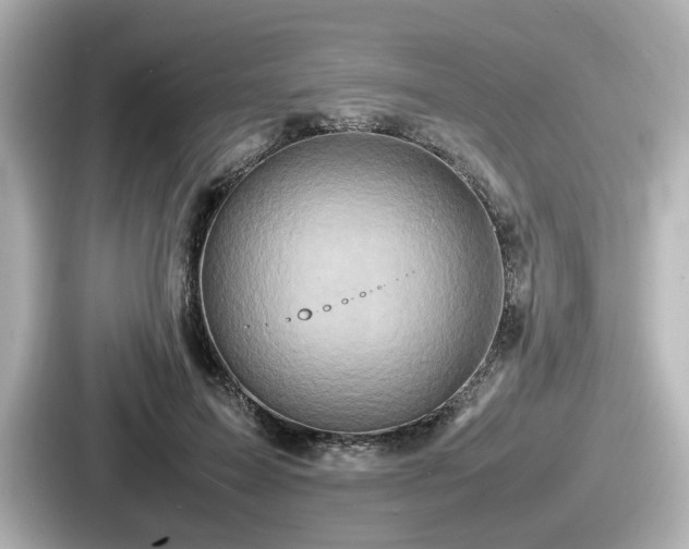 X0000087640599200705101049