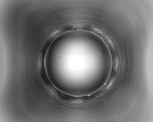 X0000087640600200705101049