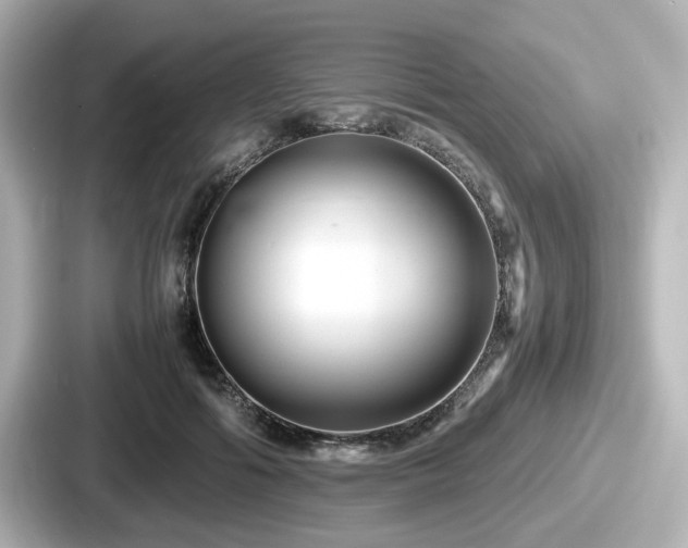 X0000087640602200705101049