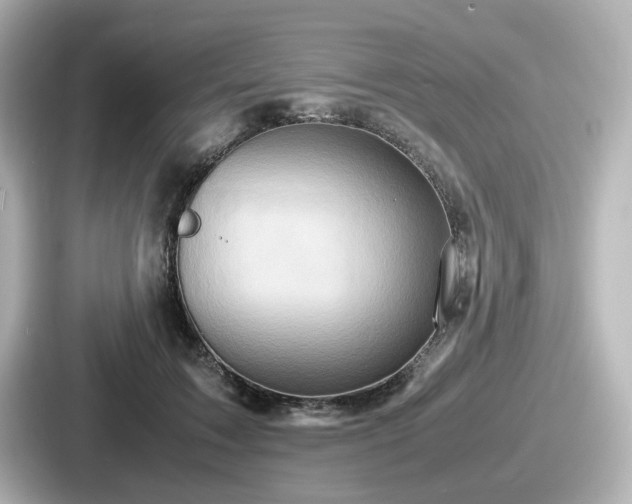 X0000087640603200705101049