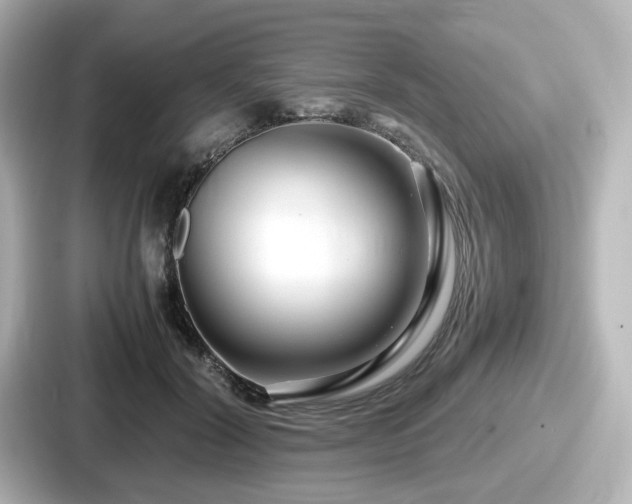 X0000087640604200705101049