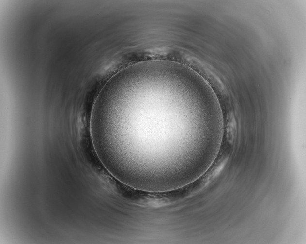 X0000087640608200705101049