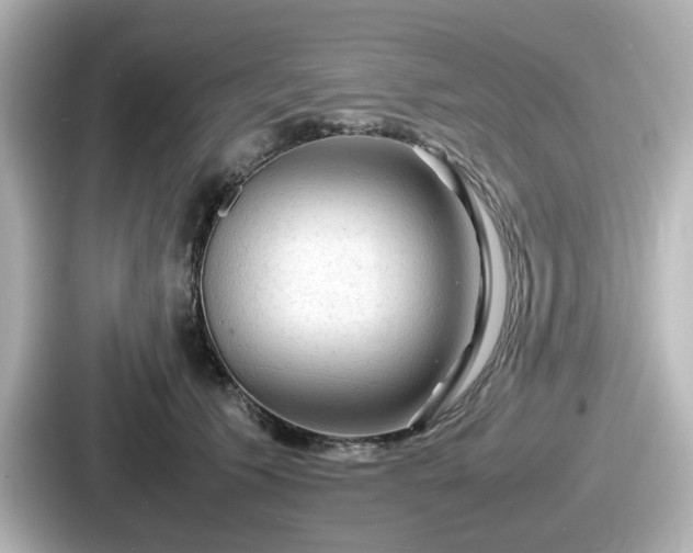 X0000087640609200705101049