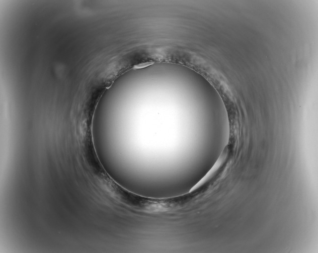 X0000087640611200705101049