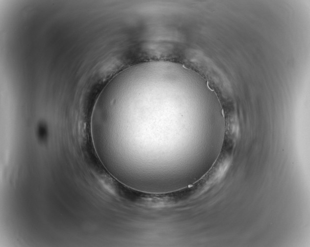 X0000087640615200705101049