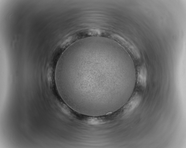 X0000087640616200705101049