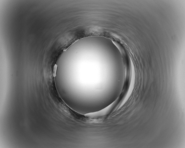 X0000087640617200705101049