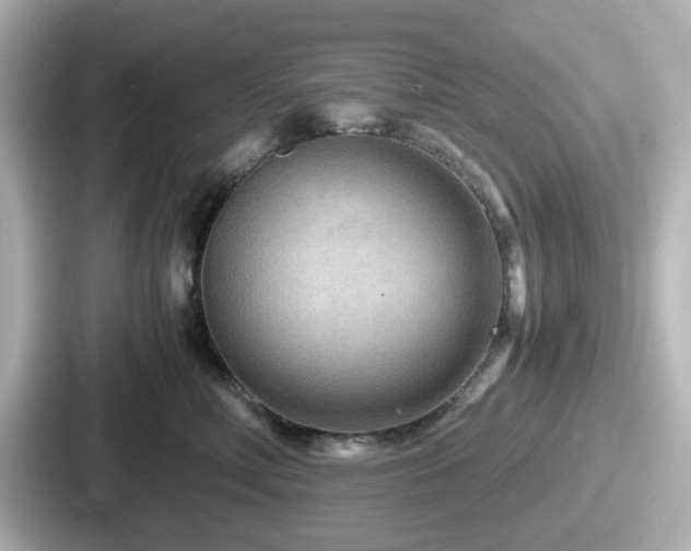 X0000087640618200705101049