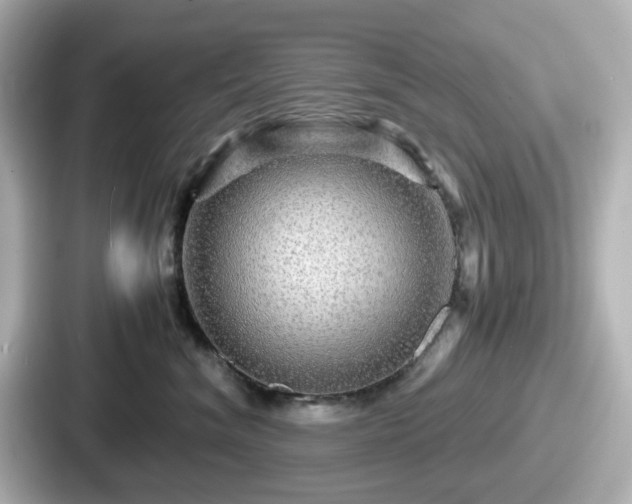 X0000087640620200705101049