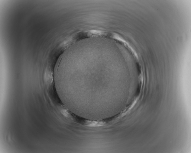 X0000087640621200705101049