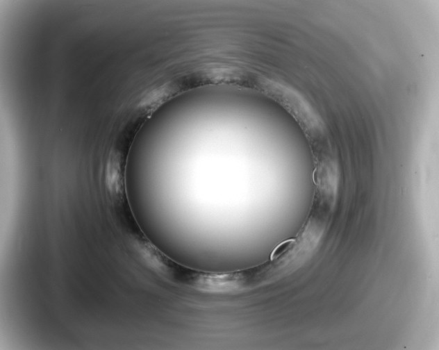 X0000087640622200705101049