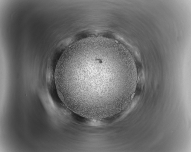 X0000087640623200705101049