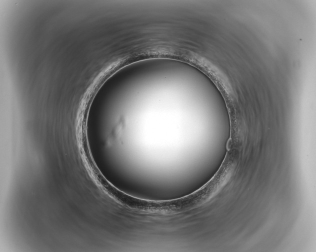 X0000087640625200705101048