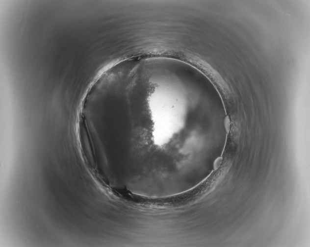 X0000087640626200705101048