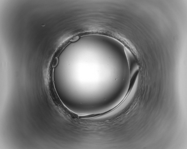 X0000087640628200705101048