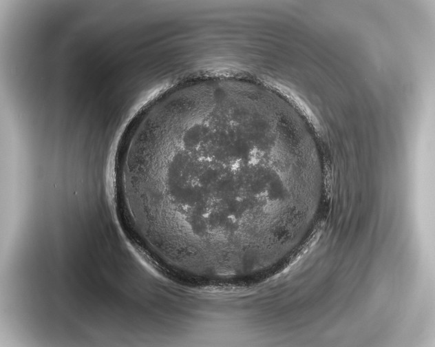 X0000087640630200705101048