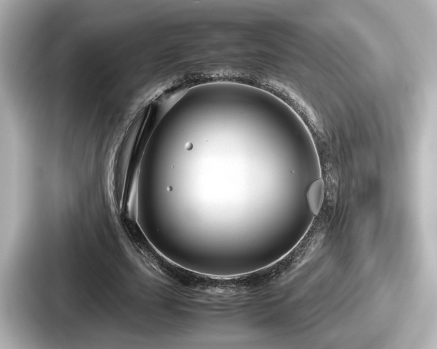 X0000087640631200705101048