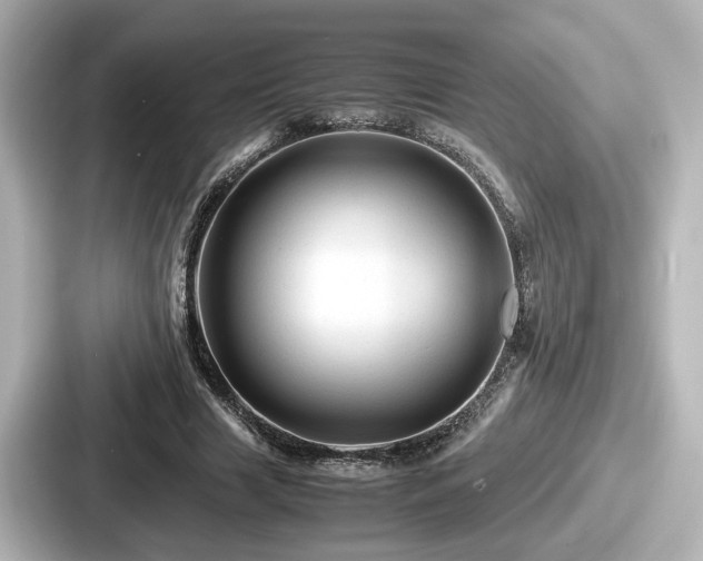 X0000087640633200705101048