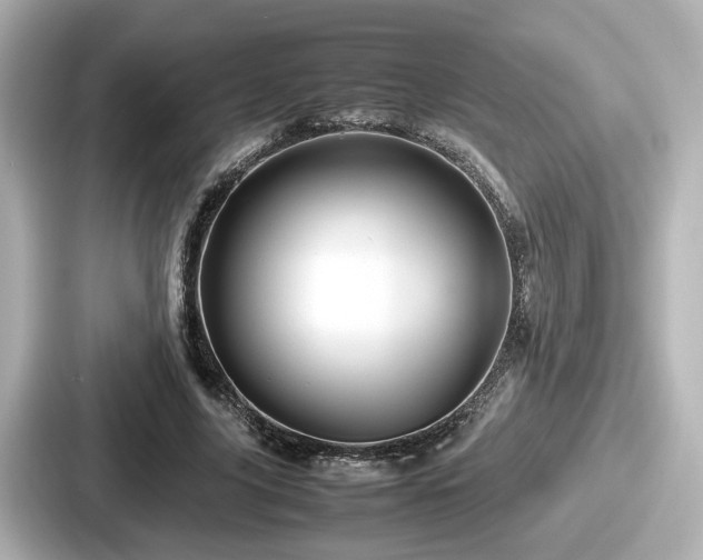 X0000087640635200705101048