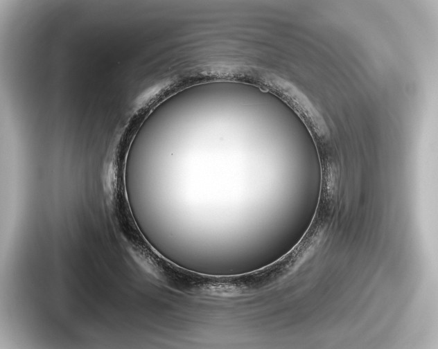 X0000087640636200705101048