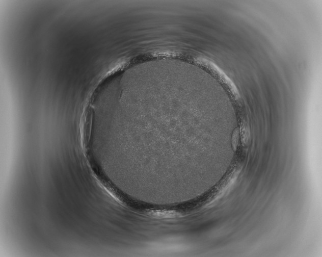 X0000087640637200705101048