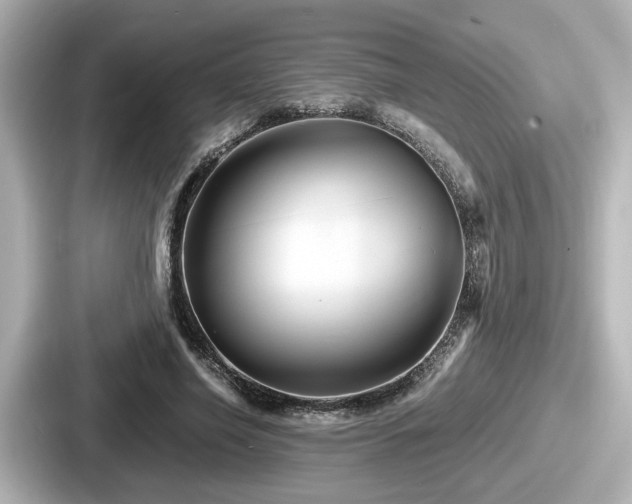 X0000087640638200705101048