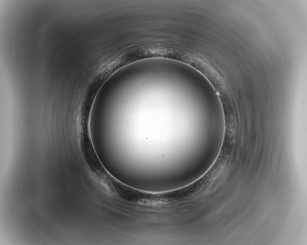 X0000087640639200705101048