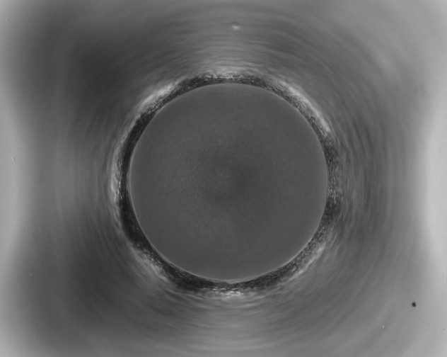 X0000087640640200705101048