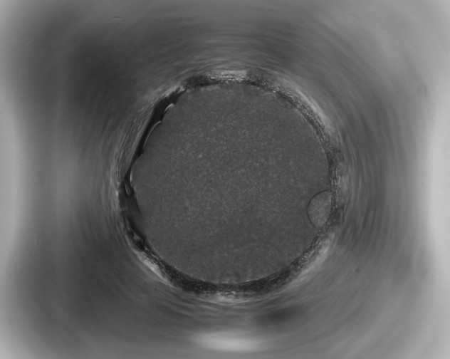 X0000087640641200705101048