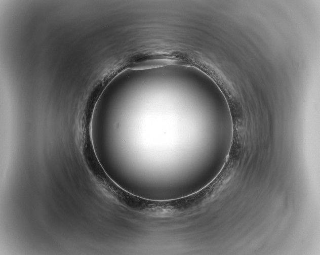 X0000087640642200705101048