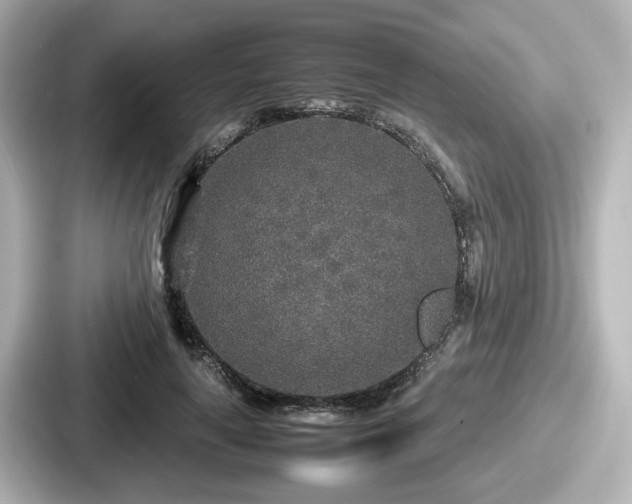 X0000087640643200705101048