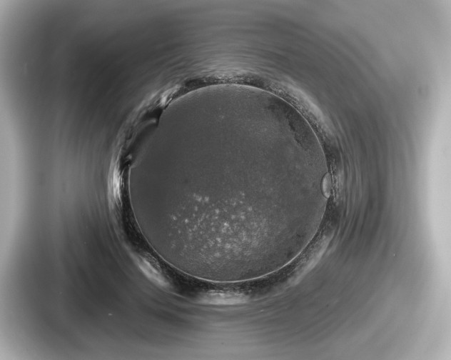 X0000087640644200705101048