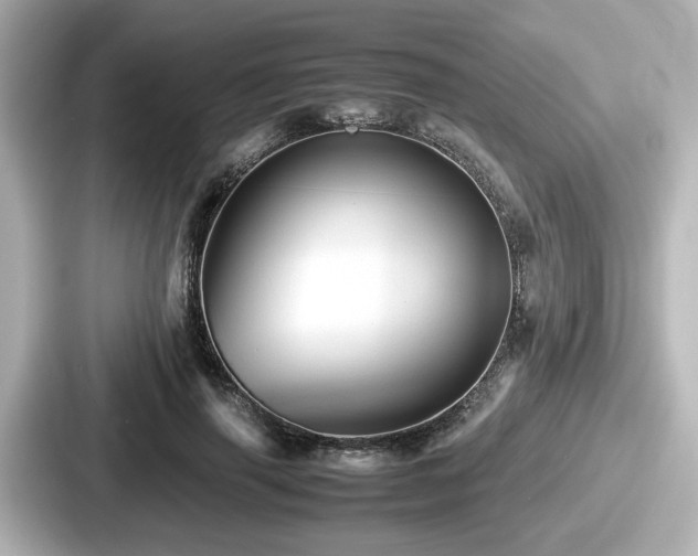 X0000087640645200705101048