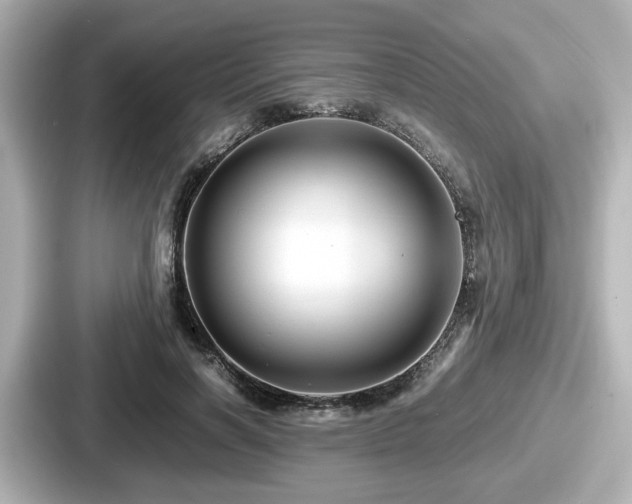 X0000087640646200705101048