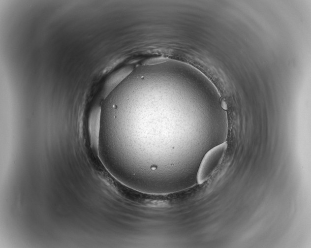 X0000087640649200705101048