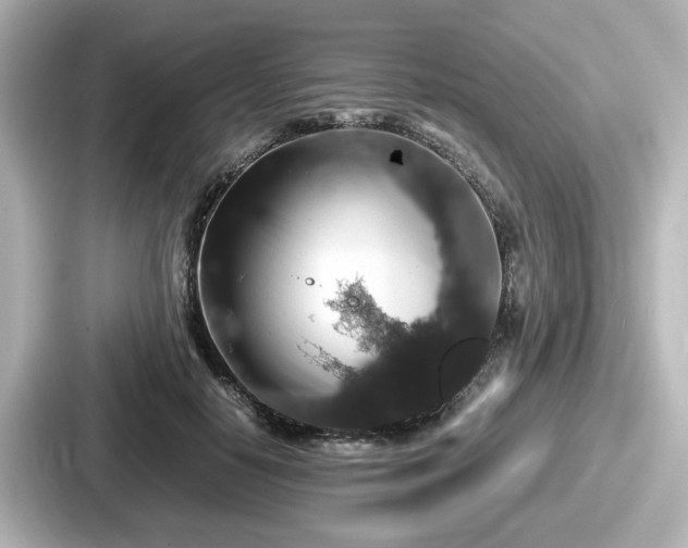 X0000087640650200705101048