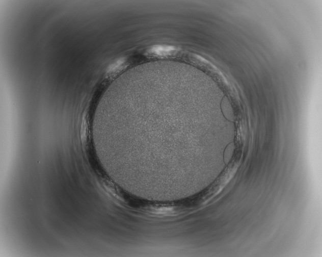 X0000087640651200705101048