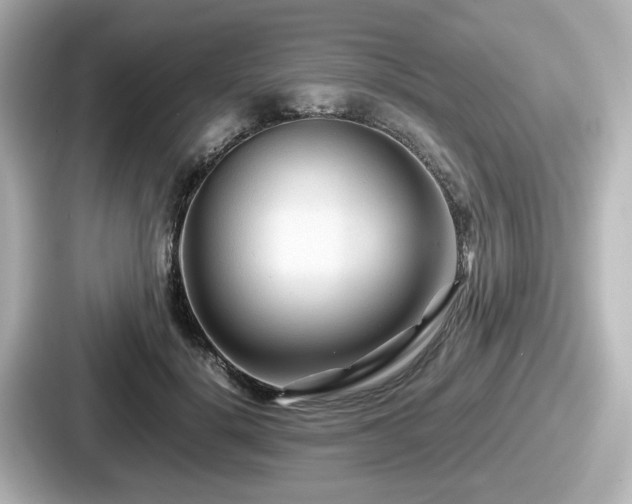 X0000087640652200705101048