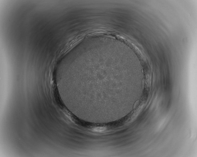 X0000087640653200705101048