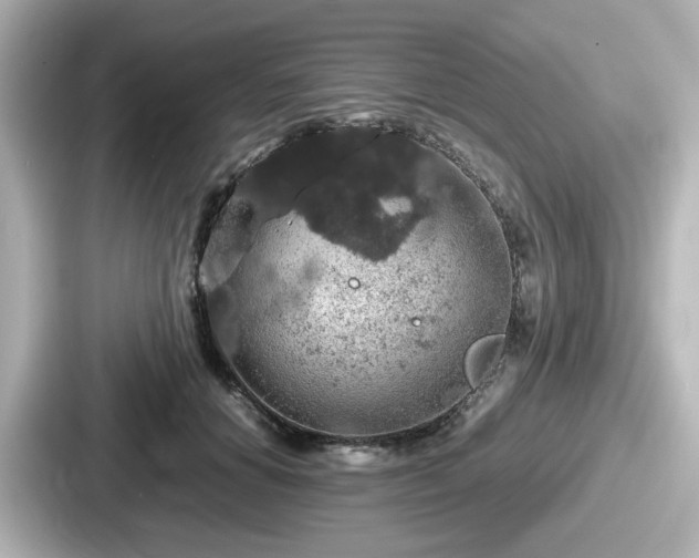 X0000087640654200705101048