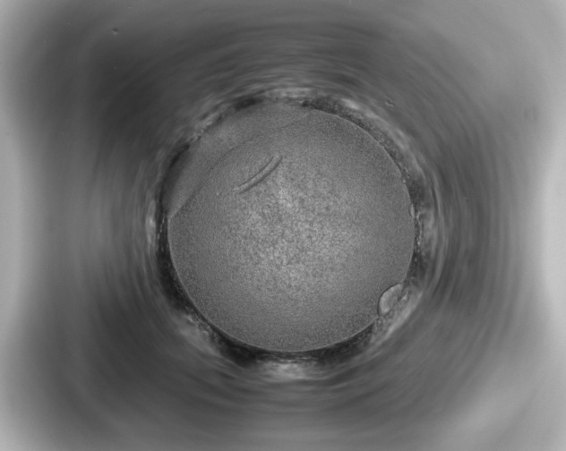 X0000087640655200705101048