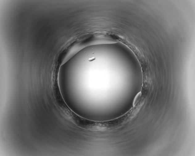 X0000087640656200705101048