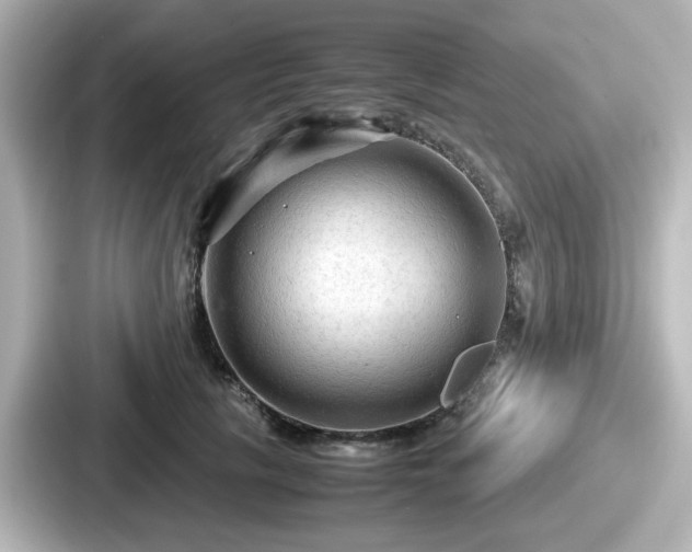 X0000087640657200705101048