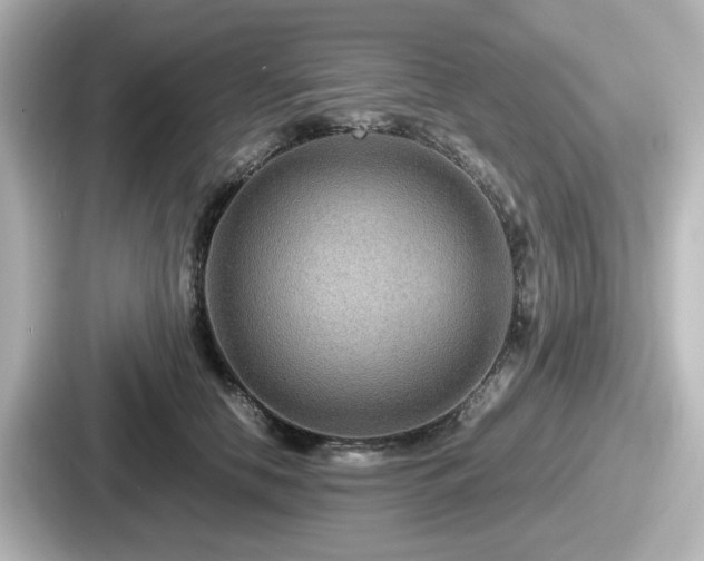 X0000087640658200705101048